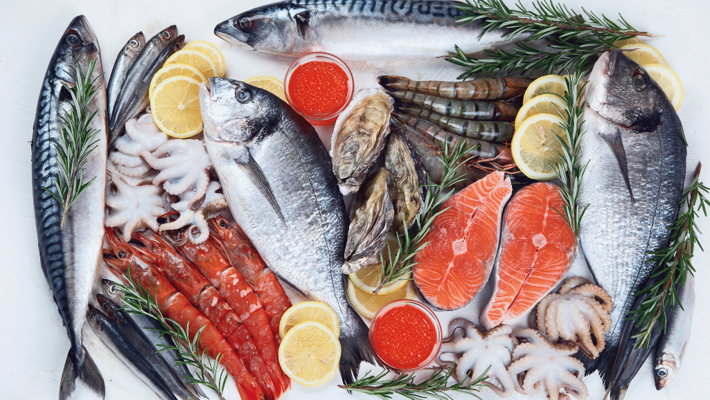 fish and seafoods