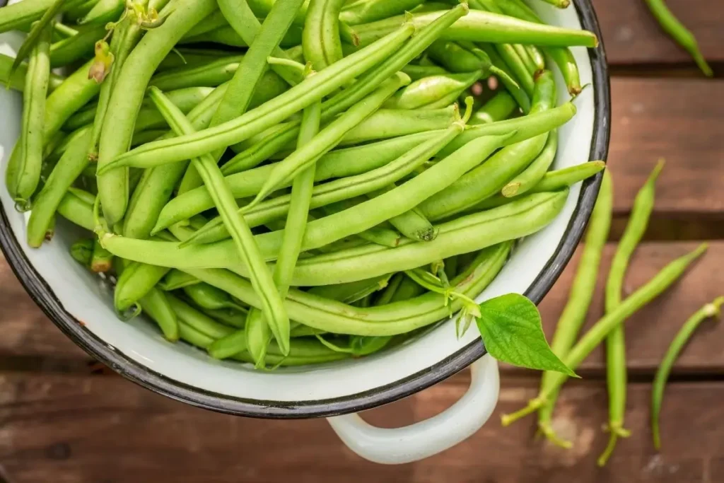 Fresh green beans in a white enamel bowl on a wooden table