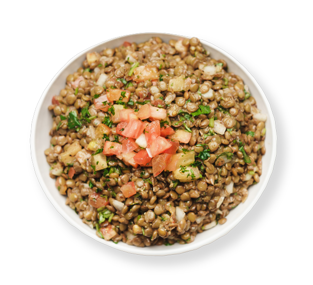 Fresh lentil salad with diced tomatoes, onions, and parsley served in a white bowl at Aladdin Mediterranean Cuisine Houston.